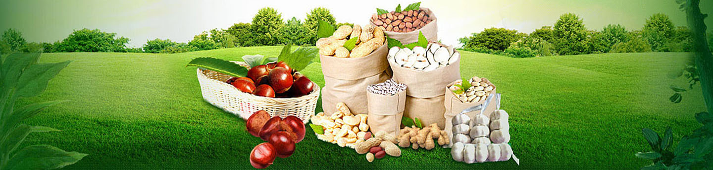 �ӱ��̽��������޹�˾